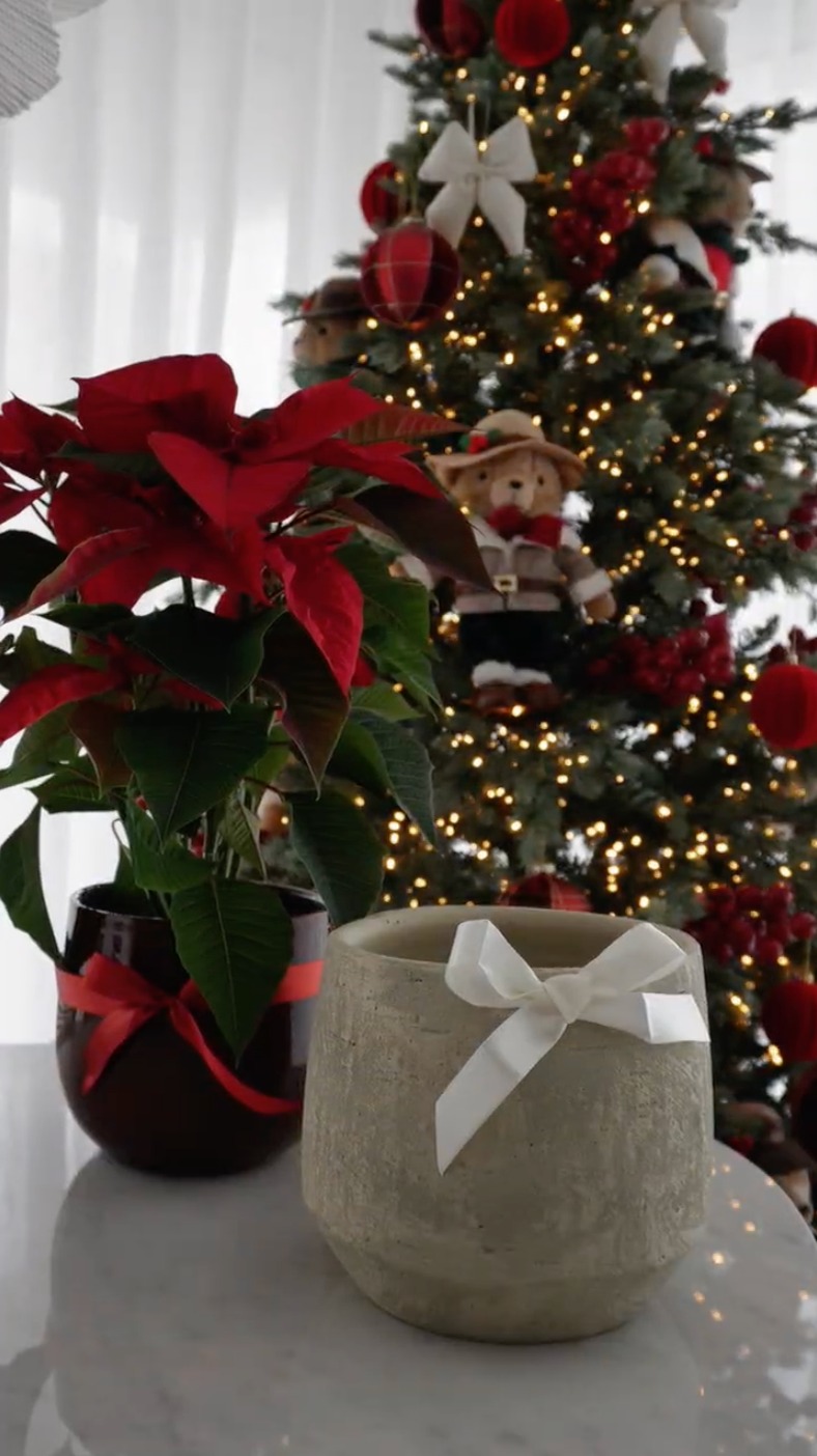 Christmas decorations